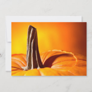 Pretty Orange Pumpkin Invitations