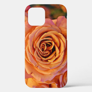 Pretty Orange Rose Art Close Up Phone Case