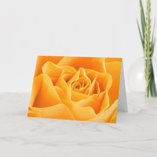 Pretty Orange Rose Greetings Card