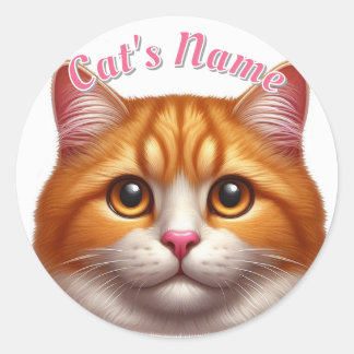 Pretty Orange Tabby Cat • Personalised Classic Round Sticker