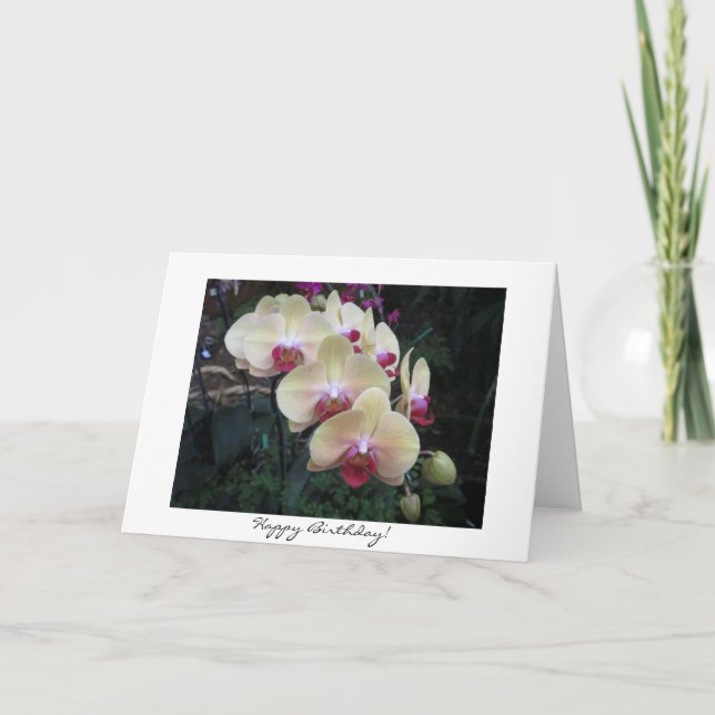 Pretty Orchid Birthday Card (Front)