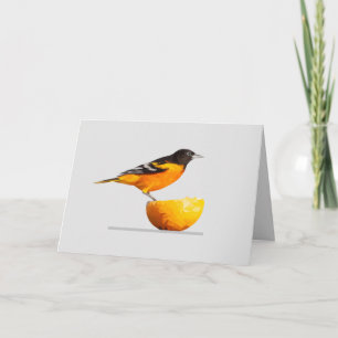 Pretty Oriole Bird Lover's Greeting Card
