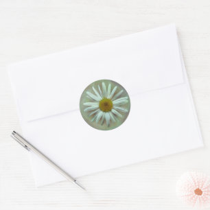 Pretty Painted Daisy Classic Round Sticker