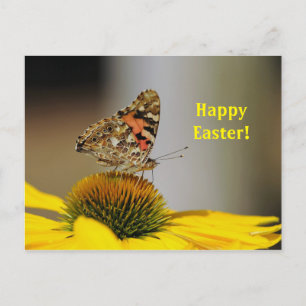 Pretty Painted Lady Butterfly Floral Photo Easter Postcard
