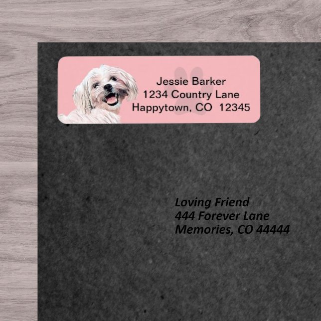 Pretty Painted Maltese Return Address Label (Creator Uploaded)