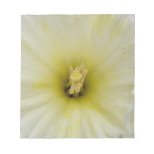 Pretty Pale Daffodil Daffodil Notepad