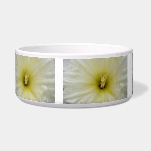 Pretty Pale Daffodil Dog Bowl (Left)