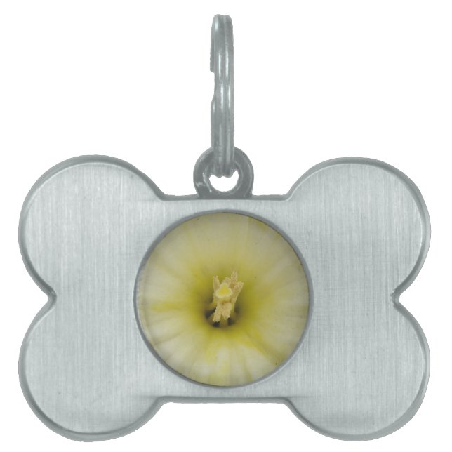 Pretty Pale Daffodil Pet Tag (Front)