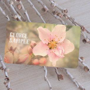 pretty pale pink dreamy flower photography business card