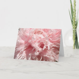 Pretty Pale Pink Poppy Greeting Card