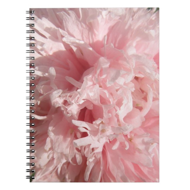 Pretty Pale Pink Poppy Notebook (Front)