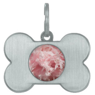 Pretty Pale Pink Poppy Pet Tag