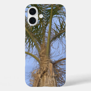 Pretty Palm Tree Close-up iPhone 16 Plus Case