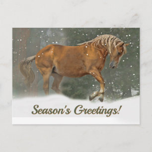 Pretty Palomino Draught Horse in the Snow Christma Holiday Postcard