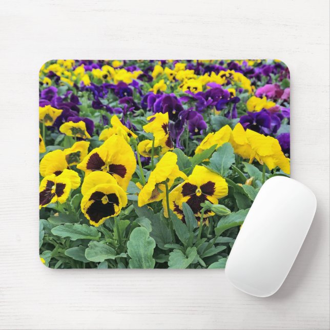 Pretty Pansies In a Greenhouse Mouse Pad (With Mouse)