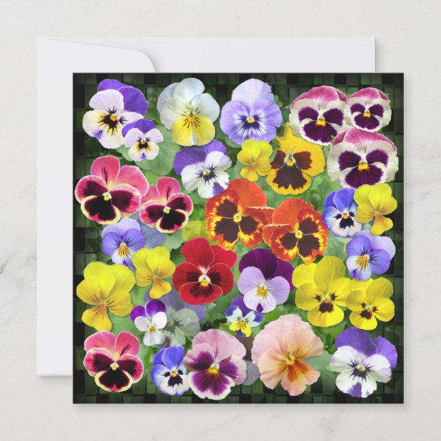 Pretty Pansy Collage Custom Text  (Front)