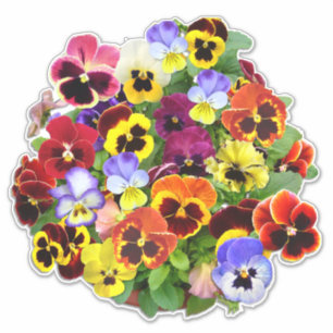 Pretty Pansy Display Contour Sticker