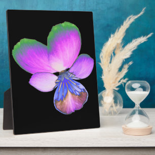 Pretty Pansy Plaque