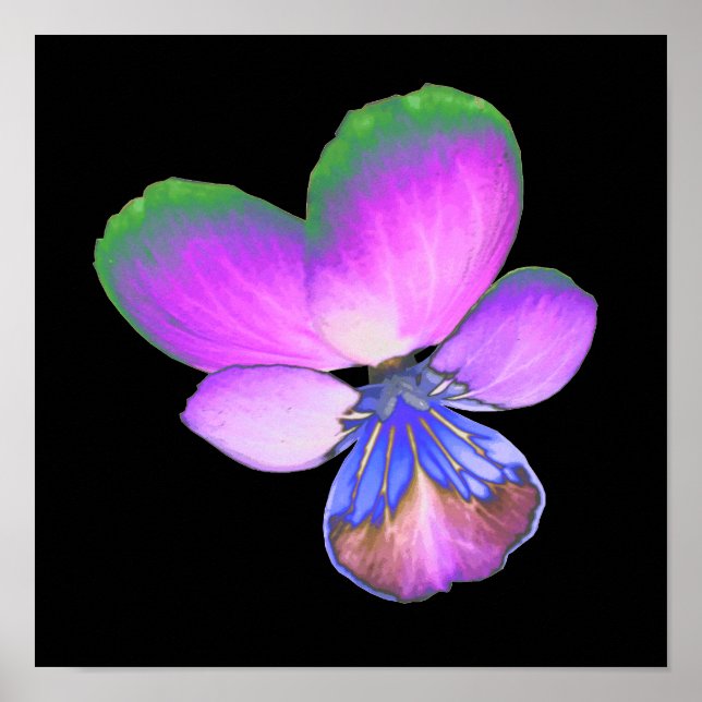 Pretty Pansy Print (Front)