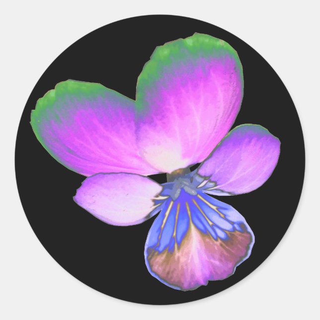 Pretty Pansy Sticker (Front)