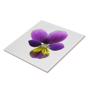 Pretty Pansy Tile