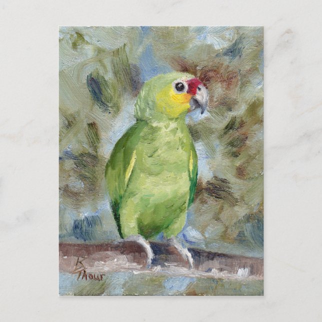 Pretty Parrot Postcard (Front)
