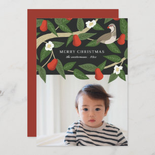 Pretty Partridge in a Pear Tree   Photo Christmas Holiday Card