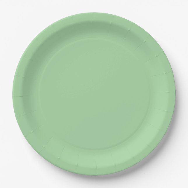 Pretty pastel green paper plate (Front)