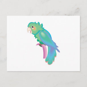pretty pastel parrot postcard