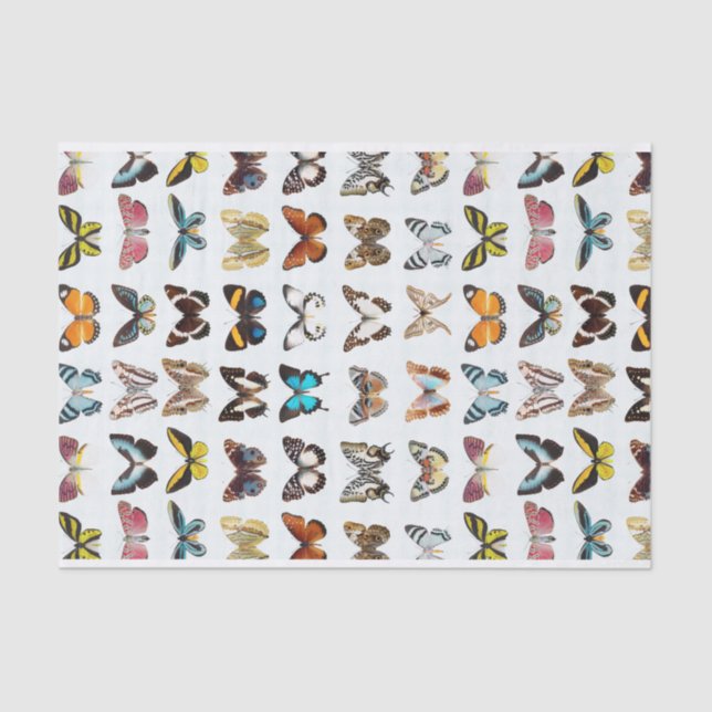 Pretty Pattern of Butterflies Tissue Paper (Front)