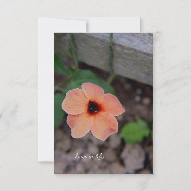 Pretty Peach Garden Flower Card (Front)