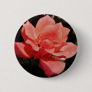 Pretty Peach Pink Rose floral 6 Cm Round Badge
