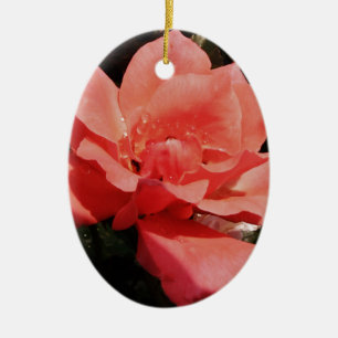 Pretty Peach Pink Rose floral Ceramic Ornament