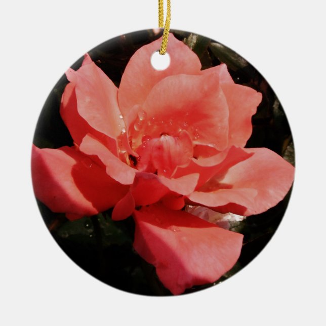 Pretty Peach Pink Rose floral Ceramic Ornament (Front)