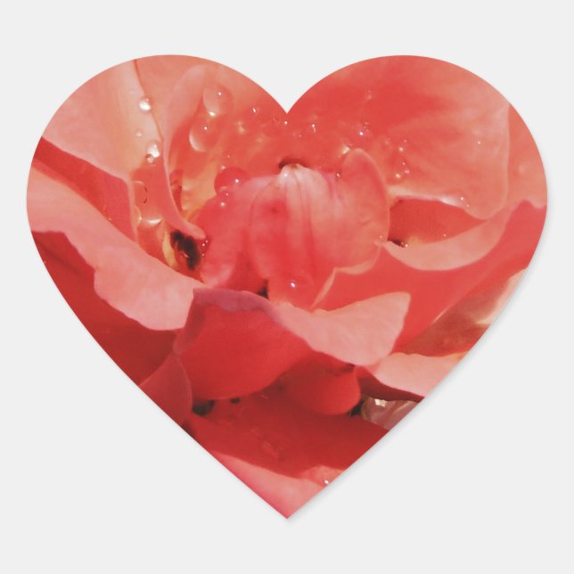 Pretty Peach Pink Rose floral Heart Sticker (Front)