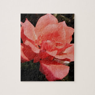Pretty Peach Pink Rose floral Jigsaw Puzzle