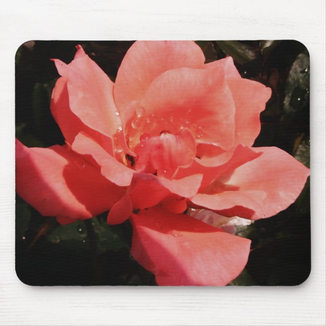 Pretty Peach Pink Rose floral Mouse Pad (Front)