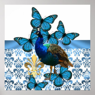 Pretty Peacock and blue butterflies Poster