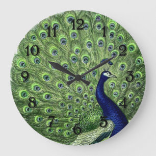 Pretty Peacock Large Clock