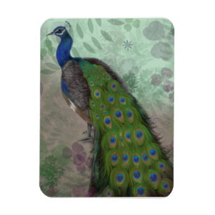 Pretty Peacock Magnet