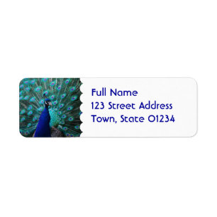 Pretty Peacock Mailing Label Return Address Label