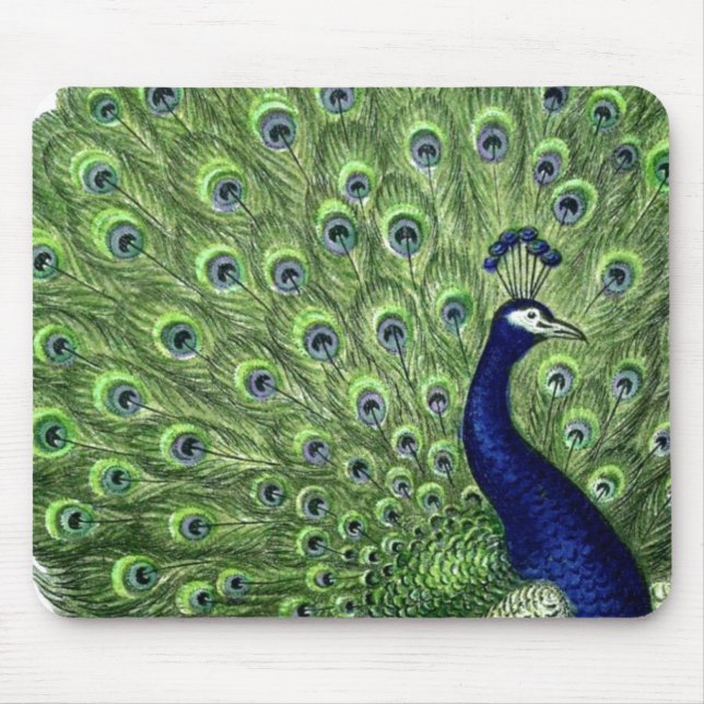 Pretty Peacock Mouse Pad (Front)