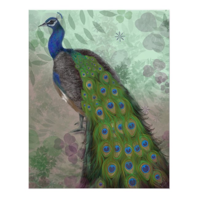 Pretty Peacock  Photo Print (Front)