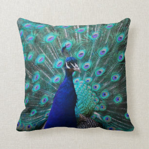 Pretty Peacock Pillow