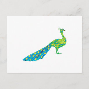 pretty peacock postcard