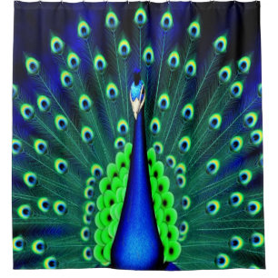 Pretty Peacock Shower Curtain