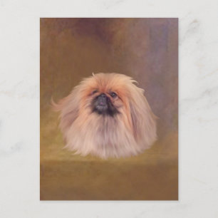 Pretty Pekingese Postcard