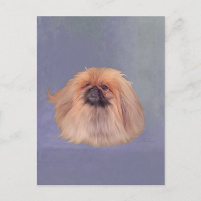 Pretty Pekingese Postcard (Front)