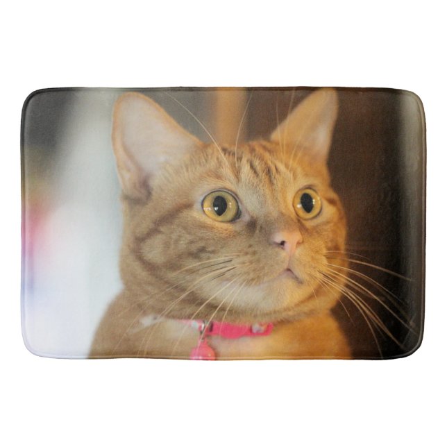 Pretty Penny  Bath Mat (Front)