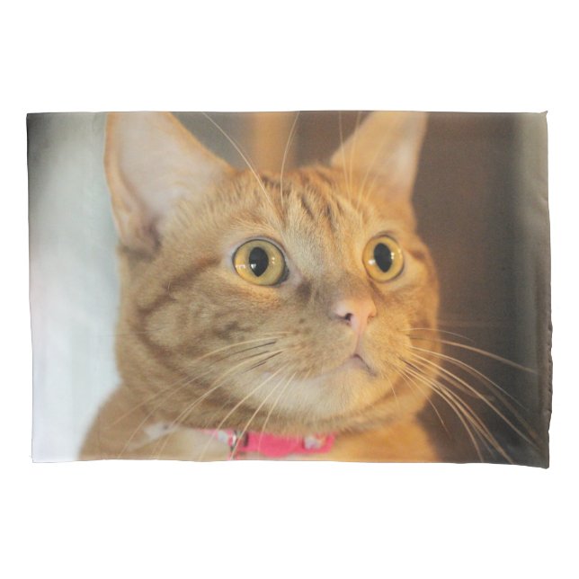 Pretty Penny  Pillowcase (Front)